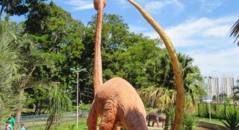 Juíza determina interdição do Parque Mutirama, em Goiânia, por tempo indeterminado